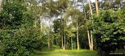 Gallery image of SRI MALAU in Kampong Ulu Bakai