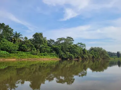 a river with trees reflecting in the water at Lipis Riverfront Resort in Kuala Lipis