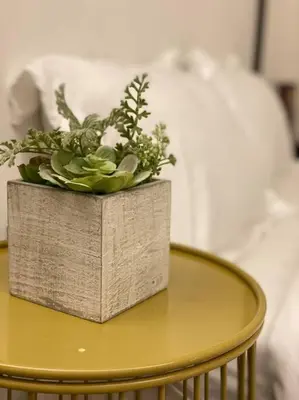 a wooden box on a table with a plant at SIX Boutique Residence @ Ipoh Garden Landed House 8pax in Ipoh