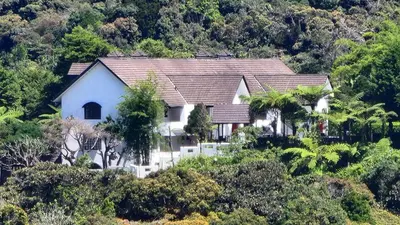 a house on top of a hill with trees at The Gladiator Homstay in Brinchang