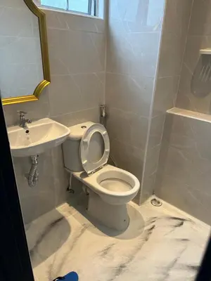 a bathroom with a toilet and a sink at Adik Aisyah Black forest Cameron Highlands homestay For Muslim in Cameron Highlands