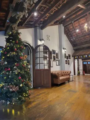 a christmas tree in a living room with a couch at Le Meilleur in George Town