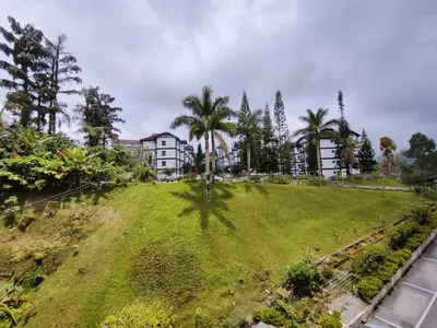 a grassy hill with a building and palm trees at A One Holiday Apartment - PRO in Tanah Rata
