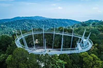 an observation tower in the middle of a forest of trees at AAA Homestay Georgetown Penang in Ayer Itam