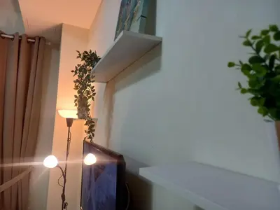 a room with a tv on a wall with a plant at Rumah Singgah Bagan Serai Perak in Bagan Serai
