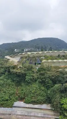 a view of a mountain with a train on it at Brinchang Cameron Highlands Homstay in Brinchang