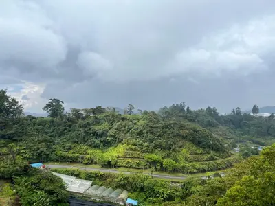 a view of a mountain with a road and trees at Delisha Homestay 3R2B The Retreat,Aranda Nova in Brinchang