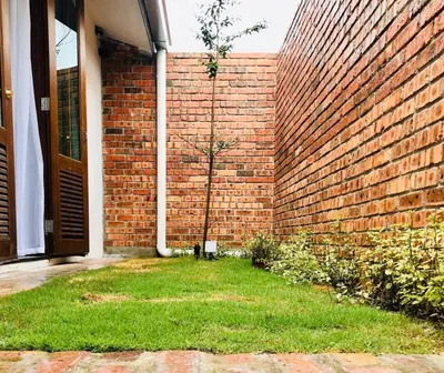 a brick wall with a small tree in a yard at INS White House Ipoh in Ipoh