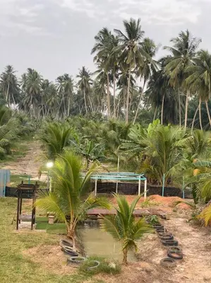 a resort with palm trees and a body of water at Homestay Naim Sabak Bernam in Sabak Bernam