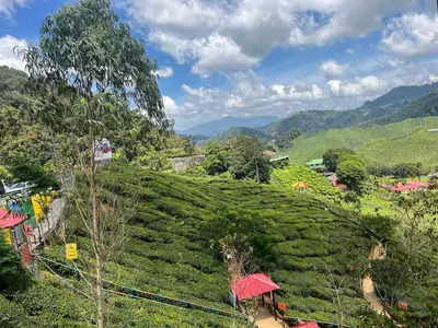 Gallery image of Our Peaceful Homestay in Tanah Rata