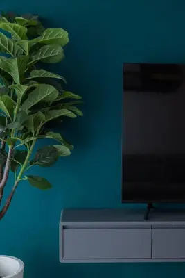 a tv sitting on top of a dresser with a plant at Family Seaview Suite with 3 Rooms by The Only Bnb in Tanjong Tokong