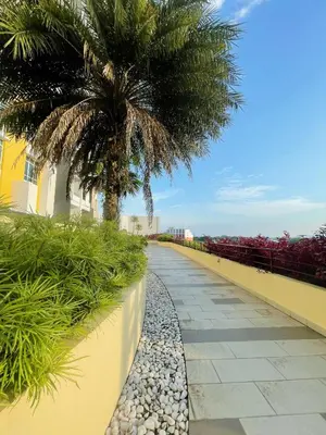 a palm tree sitting next to a walkway at JS Ipoh Homestay @ The Majestic Ipoh in Ipoh