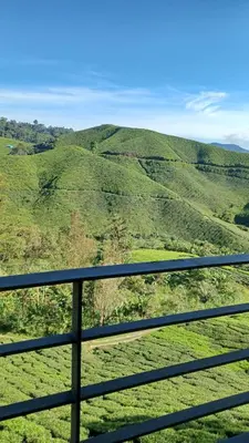 a view of auliculiculiculiculiculiculiculiculiculiculiculic at BRICKS Cameron Hostel in Tanah Rata