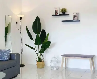 a living room with a couch and a potted plant at Diamond Bay Homestay in Teluk Intan