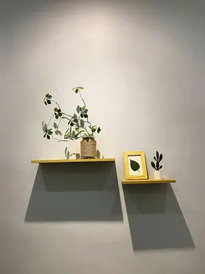 two shelves with plants and a picture on a wall at Warm and Cozy in Teluk Intan