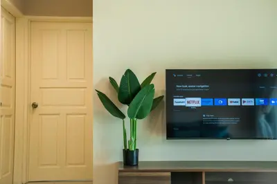 a plant sitting on a table next to a tv at Stylish River-View Apartment In Ipoh in Ipoh