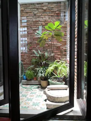 a window view of a patio with potted plants at Shophouse Studio in George Town