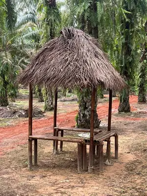 a bench with a straw umbrella on top of it at Slim Village Palm House - 2 rooms, 8 beds, 8 persons in Slim River