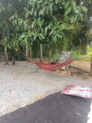 a red hammock sitting on the ground next to a tree at Cp homestay in Batu Kurau