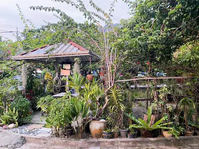 a garden with a small house with plants at Dusun Indah Cottage 1 in Bayan Lepas