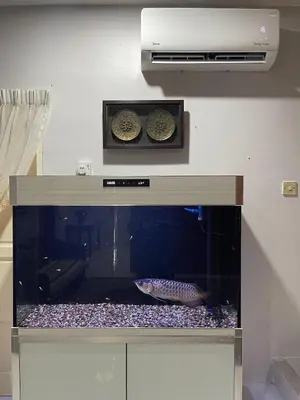 a aquarium with a fish in a room at Venice Raudhah Guest House in Lumut