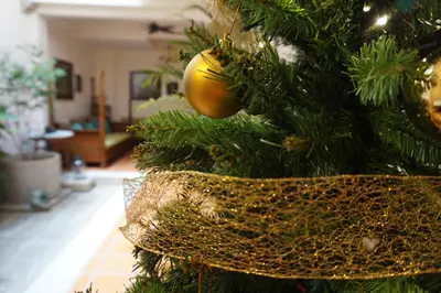 a christmas tree with a gold ornament on it at Betel Nut Lodge in George Town