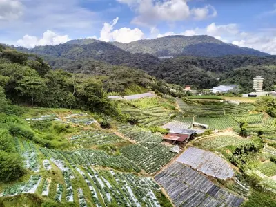 Gallery image of AISYAH MUSLIM HOMESTAY BRINCHANG CH ada coway kipas syiling in Brinchang