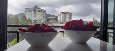 two white bowls with red flowers on a table at Cameron Square in Brinchang