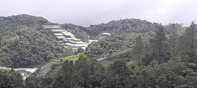 a building on the side of a mountain with trees at Cameron Square in Brinchang