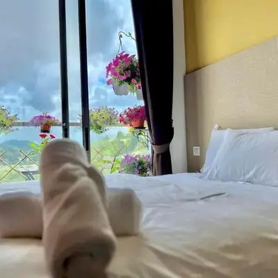 Kensington Sunrise sg