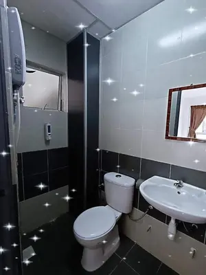 a bathroom with a toilet and a sink at CRYSTAL D CAMERON HOMESTAY in Cameron Highlands