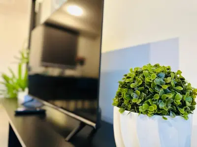 a green plant in a white pot in front of a tv at New URBAN SUITES Seaview Family Homestay by Urban Staycation HENG LOD COSY in Jelutong