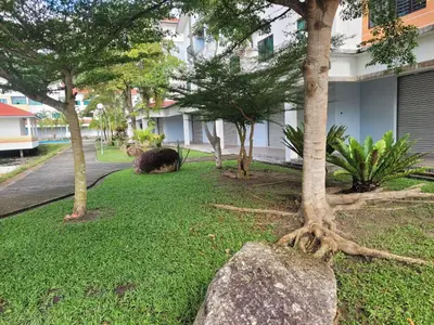 a dog laying on the grass next to trees at Pangkor BeachWalk Studio in Pangkor