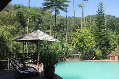 a swimming pool with two chairs and an umbrella at Fig Tree Hills Resort (\u82b1\u679c\u5c71\u5ea6\u5047\u6751) in Bayan Lepas