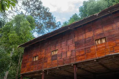 a wooden building with three windows on the side of it at Rain Forest Inn in Ringlet