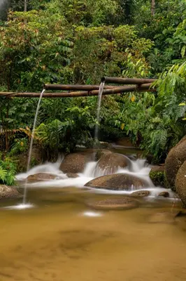 a waterfall in a river in a forest at Rain Forest Inn in Ringlet