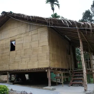 Rain Forest Inn
