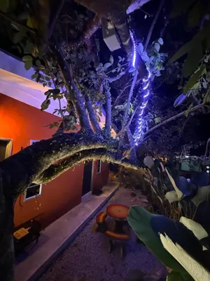 a tree in the middle of a room at Stylish Balinimo Guest room - King Bed, Free Netflix, Prime & Wi-Fi Near Bukit Mertajam in Kubang Semang
