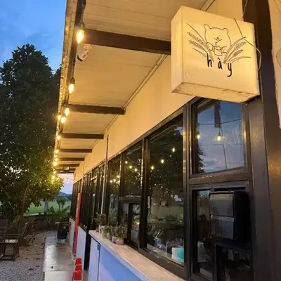 MostPopular!!! Hay Cafe TranquilFields - OnlyYou with Hay