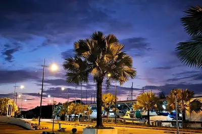a palm tree in a parking lot at night at Laguna 1, Marina Island by TZ Homestay in Lumut