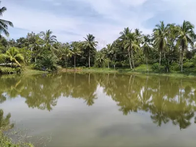 a body of water with palm trees in the background at De'Lakeside musslim's homestay in Raub