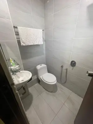 a bathroom with a toilet and a sink and a shower at Merlin Hotel George Town Penang in George Town