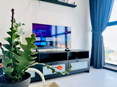 a plant sitting on a table in front of a tv at Cozy & Drive Urban Suite by WL in Jelutong