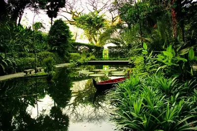 a small boat in a pond in a garden at Cheerful 6BR Town House @ Geortown for 5-14pax by Cohans in George Town