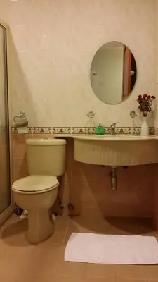 a bathroom with a toilet and a sink and a mirror at Tropical Sea View & Sunshine in Batu Ferringhi