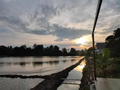 a view of a river at sunset from a boat at Mai Paddy Cottage, Balik Pulau in Balik Pulau