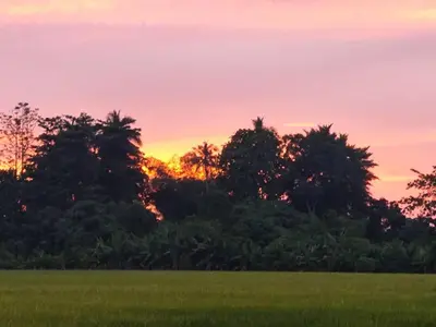 a sunset over a field with trees in the background at Mai Paddy Cottage, Balik Pulau in Balik Pulau