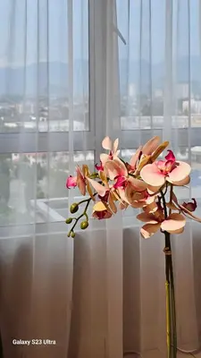 a vase with pink flowers in front of a window at IPOH Town R&E Homestay in Ipoh