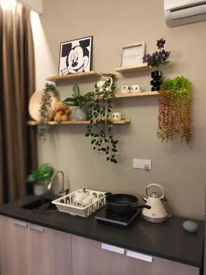 a kitchen with a counter with plants and shelves at 