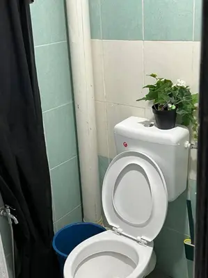 a bathroom with a toilet with a plant on it at Pusing Kampung Affordable Homestay Astro in Pusing